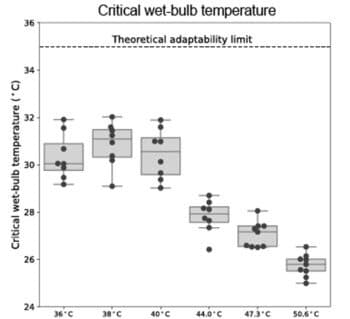 | Figure 2 Critical wet bulb temperature for young healthy people in six different experimental scenarios Credit Vecellio et al 2022 Evaluating the 35°C wet bulb temperature adaptability threshold for young healthy subjects PSU Heat Project Journal of Applied Physiology httpsdoiorg101152japplphysiol007382021 | MR Online