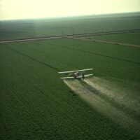 A crop-duster spraying pesticide on a field. (Source: USDA photo by Charles O'Rear, Wikimedia commons)