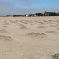  | The unmarked graves of those who died in the concentration camps Image by Ester Mbathera | MR Online