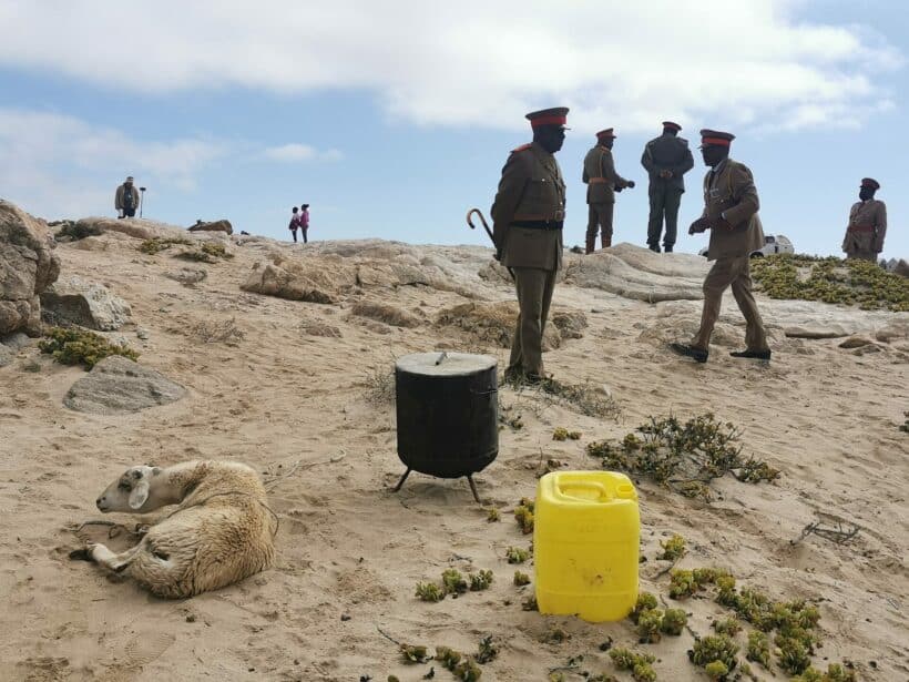 | A sheep is slaughtered as an offering to the ancestors | MR Online