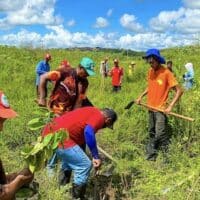 In the Atalaia, Alagoas, the Carlos Marighella Brigade of the MST, organized tree planting next to the Paraíba River. Photo: Mykesio Max