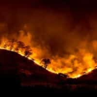Tree ridge in flames during the 2018 Woolsey Fire that burned in Los Angeles and Ventura Counties, California. Photo courtesy Peter Buschmann/United States Forest Service/Wikimedia Commons.