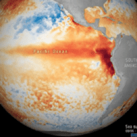  | Satellite images showing sea surface temperature anomaly as of May 17 2023 | Photo Twitter ESA EO | MR Online