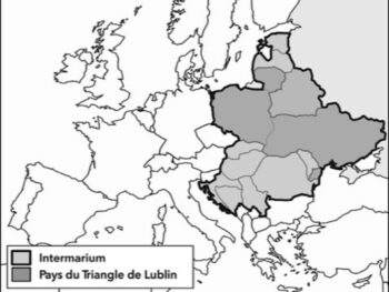 Background and elements of the war in Ukraine