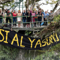 In August, millions of Ecuadorians voted in a landmark referendum to halt oil exploration and development in the Yasuní National Park in the Amazon rainforest, one of the most biodiverse regions on Earth. Signs urging the public to vote “Sí al Yasuni” or “yes” appeared across the country. Photo courtesy Amazon Frontlines.