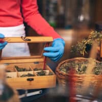 A worker organizes dry cannabis buds for sale at a legal dispensary. (Photo: Getty / OtherWords)