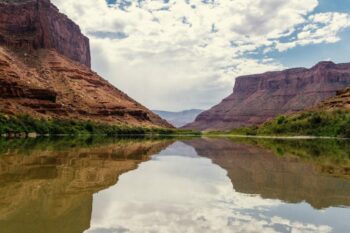 | Endangered Wildlife of the Colorado River | MR Online