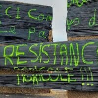 Demonstration of Occitan farmers, January 2024. Photo: Raymond Trencavel / Wikimedia Commons / CC0 1.0 DEED