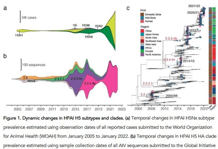 | pathogenic avian influenza H5Nx | MR Online