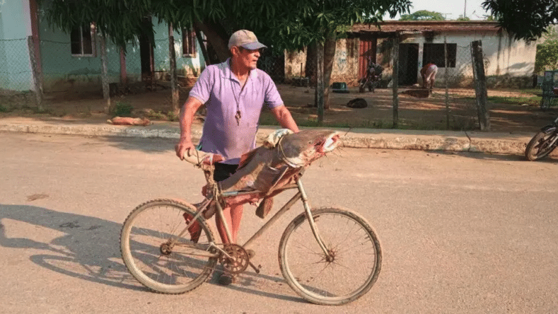 | In addition to raising cattle and farming communards also fish in the Elorza River Juan Fernández | MR Online