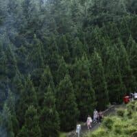 Tourists visit Shennongtan scenic spot in Shennongjia Forest District, central China's Hubei Province, Aug. 5, 2024. In recent years, with rich ecotourism resources and mild climate, Shennongjia Forest District has witnessed a large number of tourists in summer. (Xinhua/Wu Zhizun)