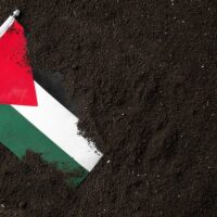  | Palestinians | MR Online