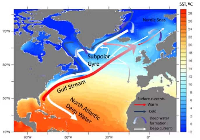 | As they travel northwards the Gulf Stream and North Atlantic Current cool as they lose heat to the atmosphere The waters then become dense enough to sink to depth and form North Atlantic deep water which travels southward at depth and feeds the other ocean basins Modified from Nature Reviews Earth Environment 2020 | MR Online