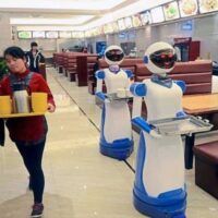 Why haven't robots taken our jobs? The Complementarity Effect