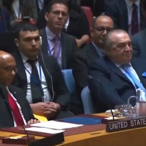 MR Online | US representative at the UNSC vetoes UN resolution on the recognition of Palestine Photo UN video grab | MR Online