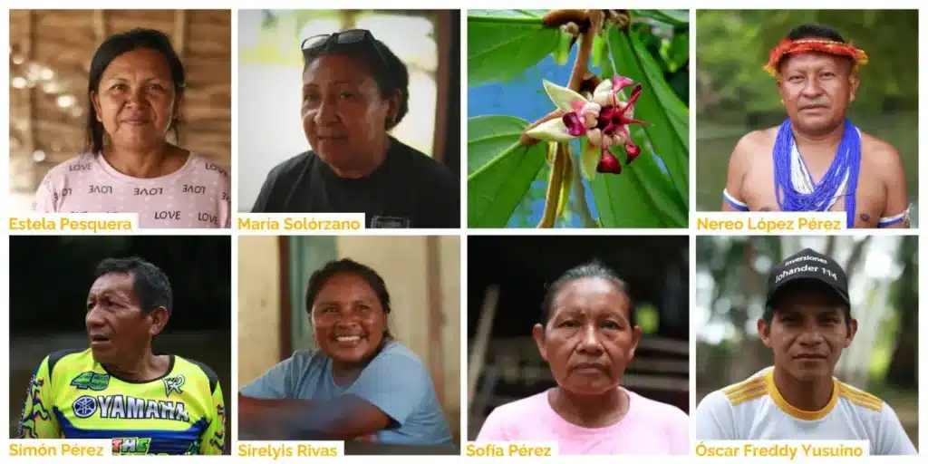 Estela Pesquera is a catara producer in Damasco de Parhueña Communal Council | María Solórzano lives in Limón de Parhueña and works for Fundacomunal a state institution that supports communal councils | Nereo López Pérez is a popular educator and professor who works to preserve Limón de Parhueñas stories his Huo̧ttö̧ja̧ name is Inaru | Simón Pérez is the capitán of the Chähuerä community | Sirelyis Rivas is a spokesperson of the Limón de Parhueña Communal Council | Sofía Pérez is a catara producer in Damasco de Parhueña Communal Council |Óscar Freddy Yusuino is a Kurripako catara producer Rome Arrieche 