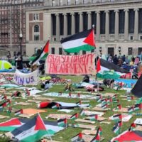 What to Do (and What Not to Do) About the Pro-Palestine College Protests