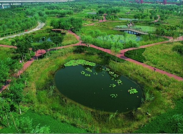MR Online | Tianjin Qiaoyuan Park in Tianjin one of the earliest sponge city projects in China Credit Wikimedia Commons | MR Online