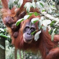 Conservation Innovations