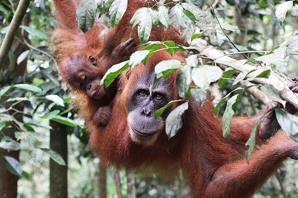 | Conservation Innovations | MR Online