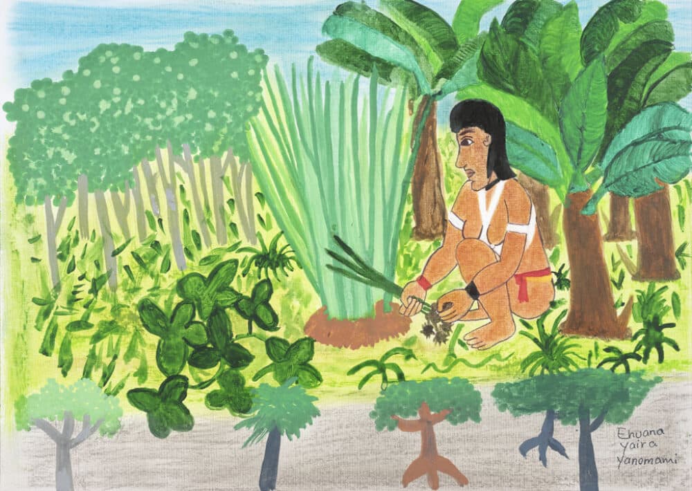 JosecaMokahesiYanomamiYanomamiIndigenousTerritoryBrazilWewomenhaveaplantcalledokaxikiwhichcanweakenmenwhentheybecomeaggressive2023 | MR Online Ehuana Yaíra Yanomami Indigenous Territory Brazil We Women Have a Plant Called Oka Xikɨ Which Can Weaken Men When They Become Aggressive 2023