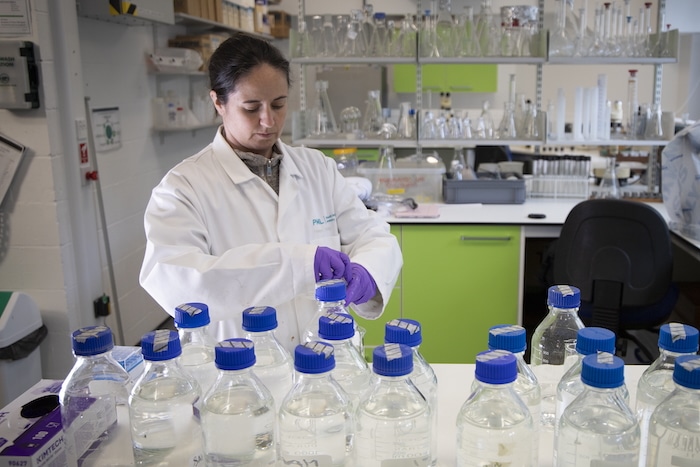 helenfindlay | MR Online Professor Helen Findlay working in the laboratory to investigate the impacts of climate change and ocean acidification on marine organisms and ecosystem functioning Plymouth Marine Laboratory