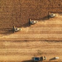 Dust rising from combine during crop harvesting, no-till technology professional occupation.