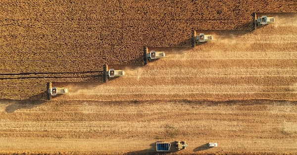 MR Online | Dust rising from combine during crop harvesting no till technology professional occupation | MR Online