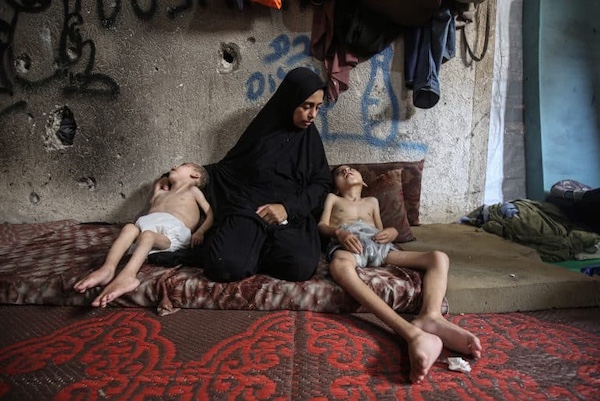 | gaza | MR Online
