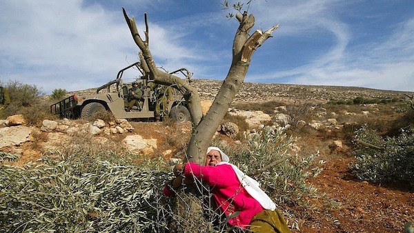  | Photo credti Jaafar Ashtiyeh  AFP via Getty Images | MR Online
