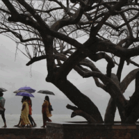 Walkers in Kochi. | Sivaram V/Reuters