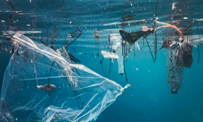 The marine plastic pollution seen here is clearly visible. However, these visible novel entities will not biodegrade. Instead, they will eventually break down into microplastic and nanoplastic contaminants that will persist in the ocean environment for centuries. The full negative impacts of plastic pollution on human and ecosystem health remain largely unresearched, though some chemicals used in plastics are well studied toxins. Image courtesy of the Planetary Health Check 2025.