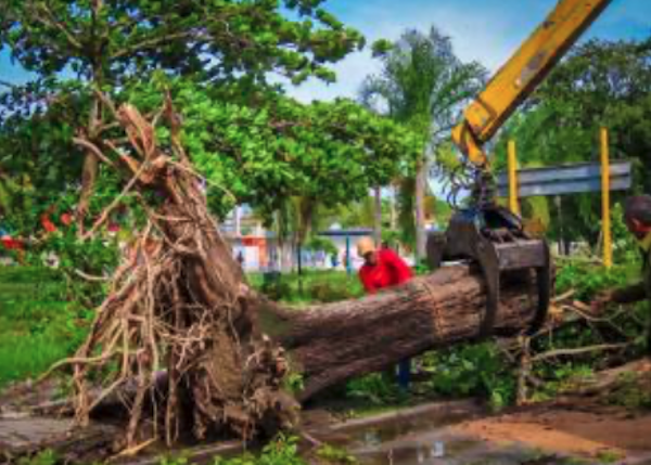 foto: Yanelkys Llera Céspedes