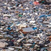Plastic Pollution