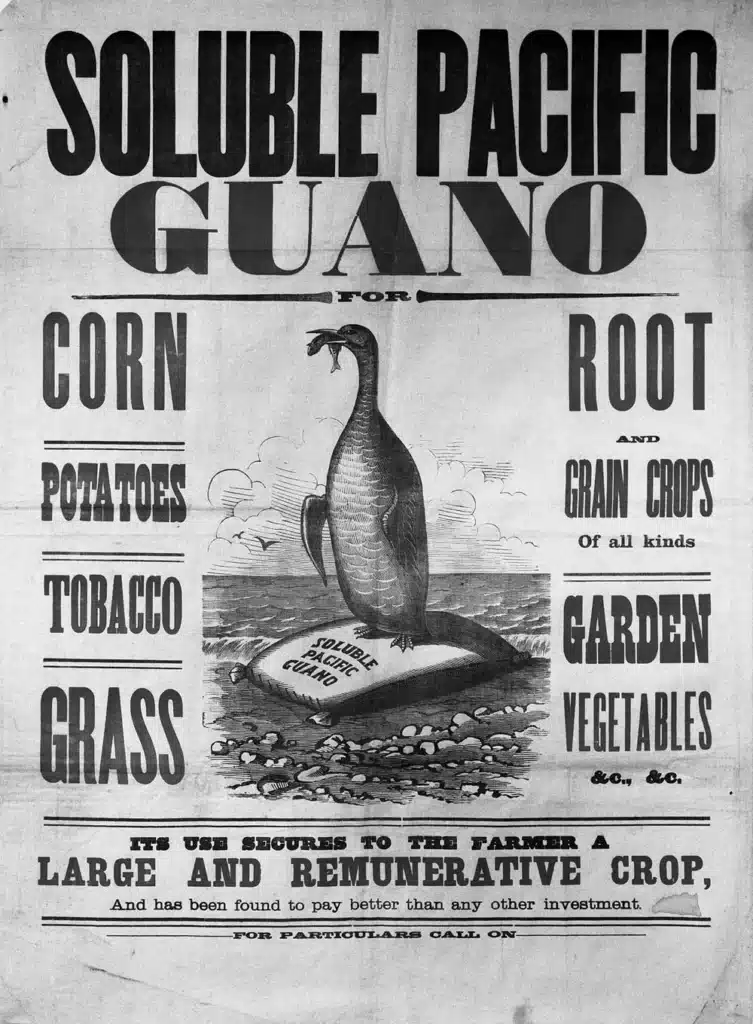A 19th-century advertisement for Soluble Pacific Guano, a potent fertilizer made from seabird droppings. Produced by the Pacific Guano Company, this product was marketed to farmers as a "remunerative investment" that secured large crops of corn, potatoes, tobacco, and other vegetables.