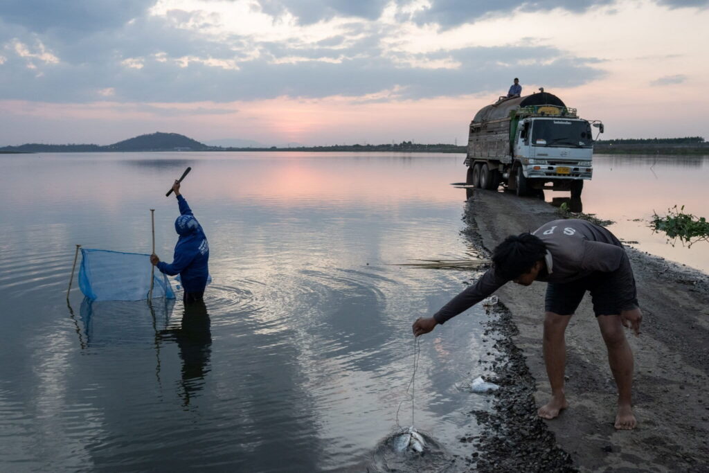 People catch fish in front of a truck pumping water from the Khlong Luang reservoir in Chonburi province, Thailand. Photo by Andy Ball for Mongabay.