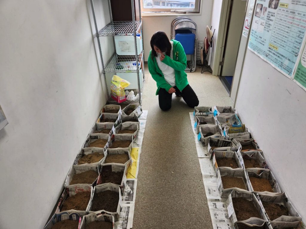 Ai Kimura, director of Tarachine, the Mothers’ Radiation Laboratory in Iwaki, examines soil samples gathered from a schoolyard in Fukushima. Thomas A. Bass