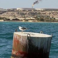 Oil storage tanks at Kharg Island, Iran’s main export terminal, through which most of the country’s oil passes before loading onto tankers. The Trump administration is reportedly weighing seizure of the island as part of a wider escalation of the U.S. war on Iran.