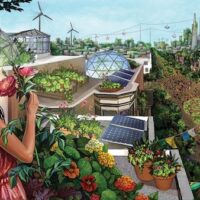 Capitalism / Ecosocialism