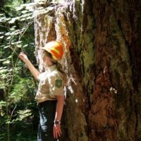 A Forest Service worker leads a tour of the Wind River Experimental Forest in Washington. (Photo: US Forest Service)
