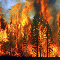 Climate Crisis