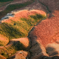 CLIMATE The ramifications of record-shattering heat on the West’s ecosystems ‘It was the worst possible way to end the winter that was already worse than normal.’ Christine Peterson April 23, 2026 Print Email Save Article More A general view of hills at Carrizo Plain National Monument in Santa Margarita of San Luis Obispo County, California, United States on March 29, 2026. Photo by Tayfun Coskun/Anadolu via Getty Images