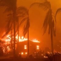 A home burns in the Eaton Fire in Altadena, Calif., Jan. 8, 2025. (AP Photo/Nic Coury, File)