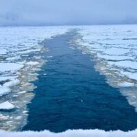 Antarctic
