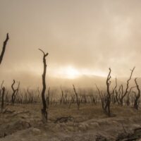 Desiccated agricultural fields in Iraq. Photo from Unsplash.