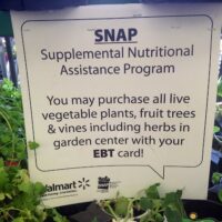 Snap EBT Card Food Assistance Walmart buy vegetable plants and Fruit Trees 7/2014. Pics by Mike Mozart of TheToyChannel and JeepersMedia on YouTube