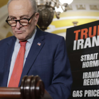 Senate Minority Leader Chuck Schumer in Washington April 14, 2026 Anna Moneymaker / Getty Images