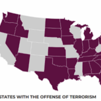 domestic terrorism statutes