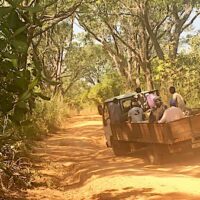 DRIVING FROM INGORE TO FARIM IN ONE OF GUINEA BISSAU'S MAJOR CASHEW REGIONS (WIKIMEDIA COMMONS, 2018)