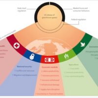 Cascading effects of climate change on planetary health in the absence of robust federal regulation in the USA